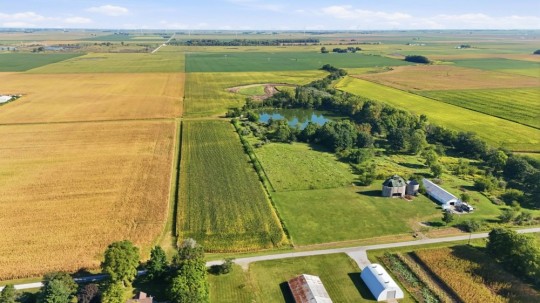 farmland