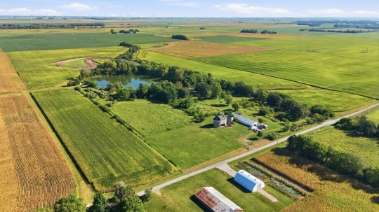 farmland